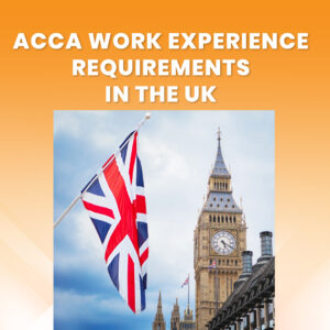 ACCA work experience