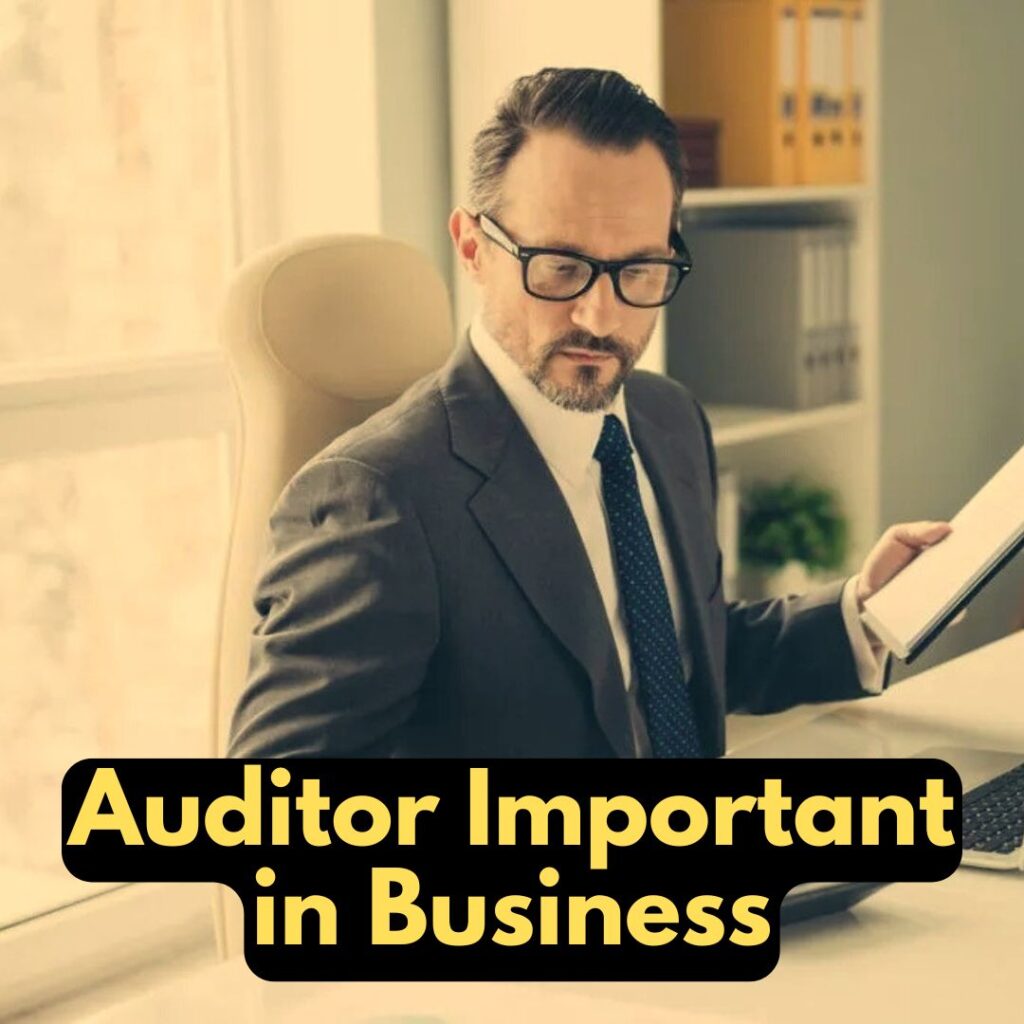 Auditor Important in Business